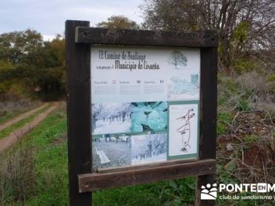 Enología en Rioja - Senderismo Camino de Santiago; senderos en sevilla